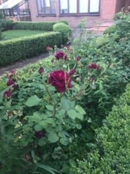 Уютный дом в Пуще с очень красивой территорией фото 9 Уютный дом в Пуще с очень красивой территорией фото 9