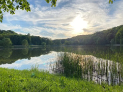 ������� ������� ������-������������ ��., ���, ����������� ���� 23