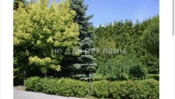 ������� ������� �����, �����������, ������� ���� 18