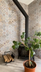 ������ �����! ����� ��� �� ������ �. ������� ���� 2