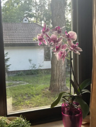   ,   19
