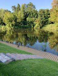 ������� ������� �������, 23, �����, �����������, ������� ���� 26