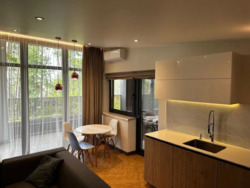 ������� ������� ���� ���������, �����������, ������� ���� 15