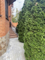 Сдам шикарный дом Черноморск фото 5 Сдам шикарный дом Черноморск фото 5