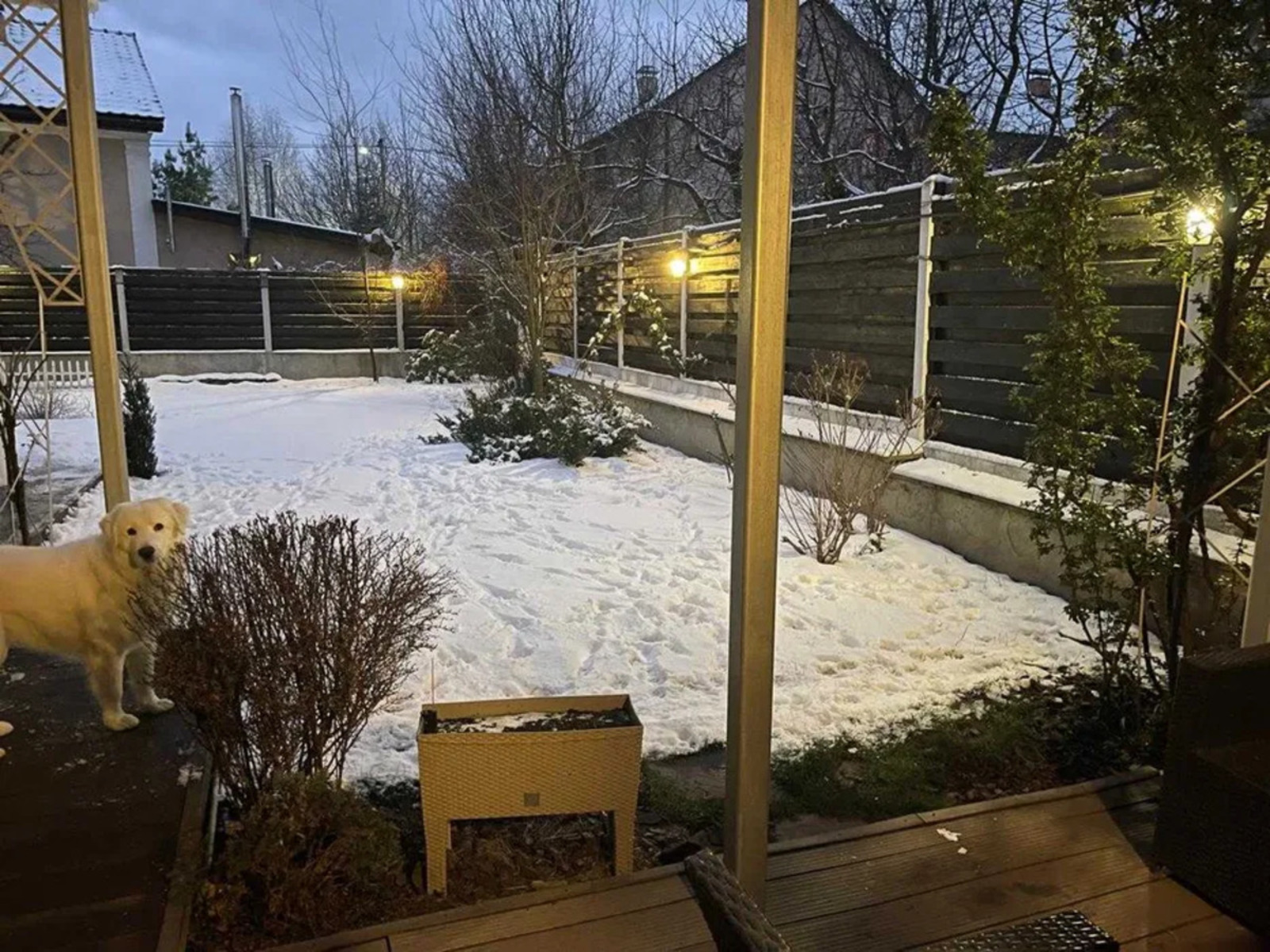 ������ ������� 137�, �������� �������, �. ���� ���� 1