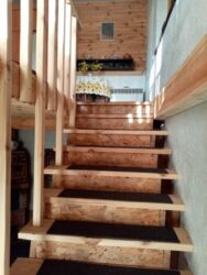 ������� ������� �����������, ����-�������������, ������� ���� 5