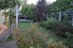 ������ ������� 137�, �������� �������, �. ���� ���� 19