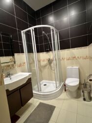 ���� ����������� ��� �� ������������ ���� 12