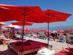 ��� ������ ����� � ���� � ������������ ������ ���� 13