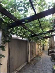 ���� ������������ � ������� �������� ������� �������� ���� 19