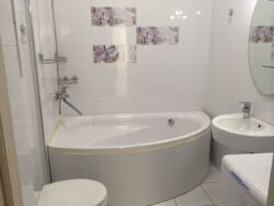 ���� � ������ ����������� ��� ���� 15