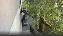 ���� ������������ � ������� �������� ������� �������� ���� 6