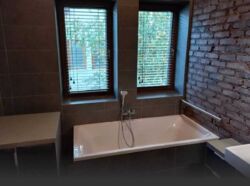 ���� ������������ � ������� �������� ������� �������� ���� 20