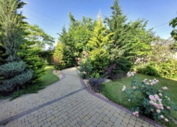 Аренда дома на Ветеране фото 9 Аренда дома на Ветеране фото 9