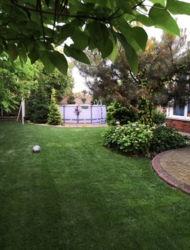 Аренда дома на Ветеране фото 7 Аренда дома на Ветеране фото 7