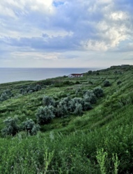 Аренда дома на Ветеране фото 20 Аренда дома на Ветеране фото 20