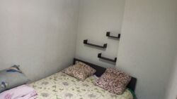 ���� ��� � ��������� ���� 5