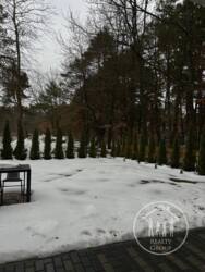 ������� ������� �����������, 64, ���������, ����, �������� ���� 24