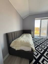 ������� ������� �����, �������, ����, �������� ���� 15