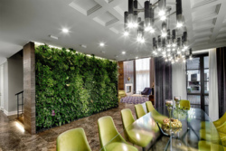 ������ ����������� ������� � ���� ˳���� ���� 17