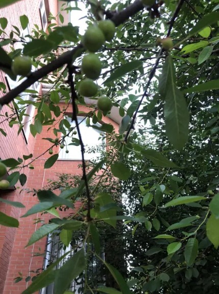 Здається 2-х поверховий будинок в Ленінському районі. фото 1 Здається 2-х поверховий будинок в Ленінському районі. фото 1