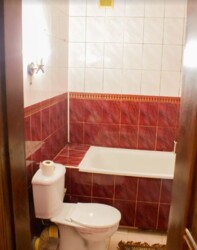 Здається в оренду будинок площею 80 кв.м. Р-н Пятничани, все є. фото 7 Здається в оренду будинок площею 80 кв.м. Р-н Пятничани, все є. фото 7