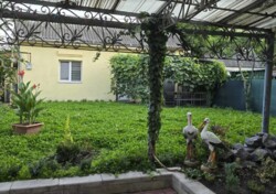 Здається 4-х кімнатний будинок, 150 кв.м. Все є для життя. фото 11 Здається 4-х кімнатний будинок, 150 кв.м. Все є для життя. фото 11