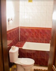 Здається в оренду будинок площею 80 кв.м. Р-н Пятничани, все є. фото 8 Здається в оренду будинок площею 80 кв.м. Р-н Пятничани, все є. фото 8