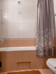 Здається будиночок, 40 кв.м., р-н Сонячний. Все є для життя, норм стан фото 4 Здається будиночок, 40 кв.м., р-н Сонячний. Все є для життя, норм стан фото 4