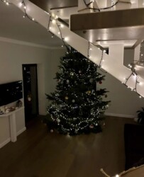 Здається будинок площею 180 кв.м. зроблений сучасний ремонт з дизайнерським проектом. фото 2 Здається будинок площею 180 кв.м. зроблений сучасний ремонт з дизайнерським проектом. фото 2