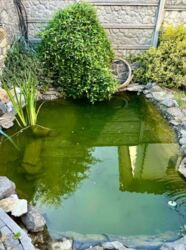 Сдається будинок під комерцію або житло Вінниця Пятничани фото 20 Сдається будинок під комерцію або житло Вінниця Пятничани фото 20