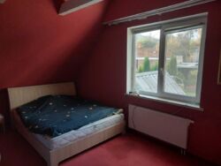 Сдається будинок під комерцію або житло Вінниця Пятничани фото 5 Сдається будинок під комерцію або житло Вінниця Пятничани фото 5