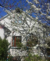 Здається 2-х поверховий будинок з сауною в Замостянському р-ні фото 1 Здається 2-х поверховий будинок з сауною в Замостянському р-ні фото 1