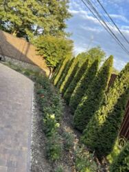 Здається елітний будинок в с. Шкуринці. 150 кв.м. фото 1 Здається елітний будинок в с. Шкуринці. 150 кв.м. фото 1