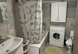 Здається будинок 70 кв.м. Сабарів. Все є, гарний стан. фото 11 Здається будинок 70 кв.м. Сабарів. Все є, гарний стан. фото 11