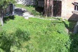 Оренда будинку. Р-н центрального парку фото 2 Оренда будинку. Р-н центрального парку фото 2