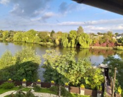 Здається великий будинок, все є, тихе затишне місто. фото 17 Здається великий будинок, все є, тихе затишне місто. фото 17