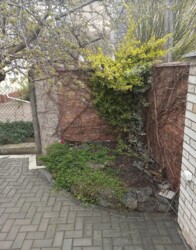 Здається 2-х поверховий будинок 120 кв.м. (р-н ринку Урожай) фото 5 Здається 2-х поверховий будинок 120 кв.м. (р-н ринку Урожай) фото 5