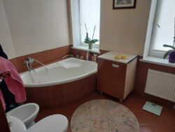 Сдається будинок під комерцію або житло Вінниця Пятничани фото 8 Сдається будинок під комерцію або житло Вінниця Пятничани фото 8