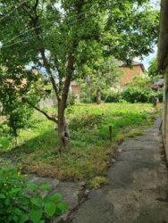 Оренда частини будинку фото 8 Оренда частини будинку фото 8