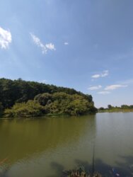 Оренда просторого будинку в Стрижавці! Гарне місце! Усе необхідне є фото 7 Оренда просторого будинку в Стрижавці! Гарне місце! Усе необхідне є фото 7