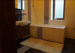 Здається чудовий 2-х поверховий будинок 340 кв.м. Ідеальний фото 9 Здається чудовий 2-х поверховий будинок 340 кв.м. Ідеальний фото 9