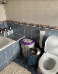 Довгострокова оренда будинку 100 кв.м. 3 кімнати, Центр. фото 22 Довгострокова оренда будинку 100 кв.м. 3 кімнати, Центр. фото 22