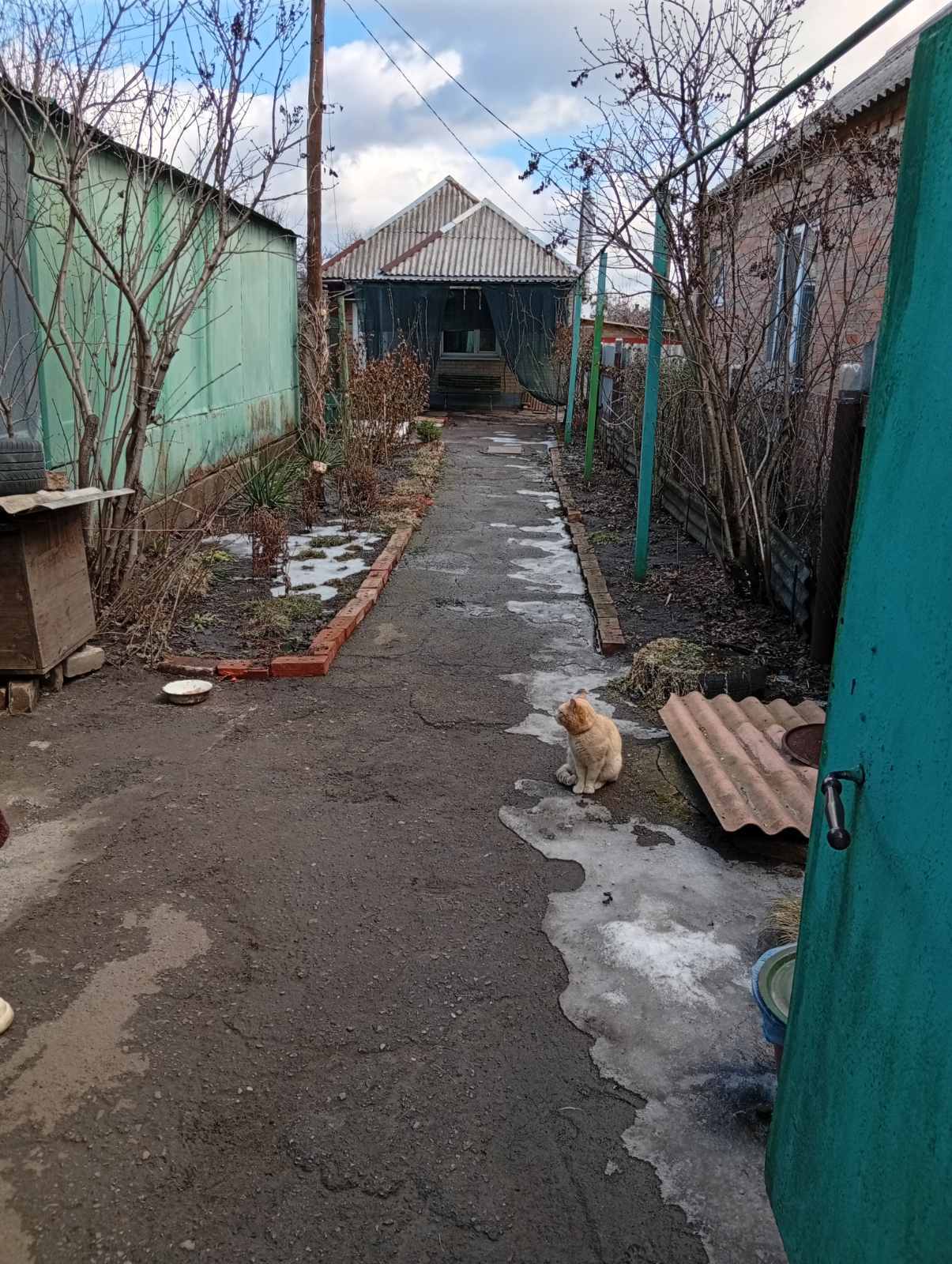 ������ ���� ����� ������. ���� 1