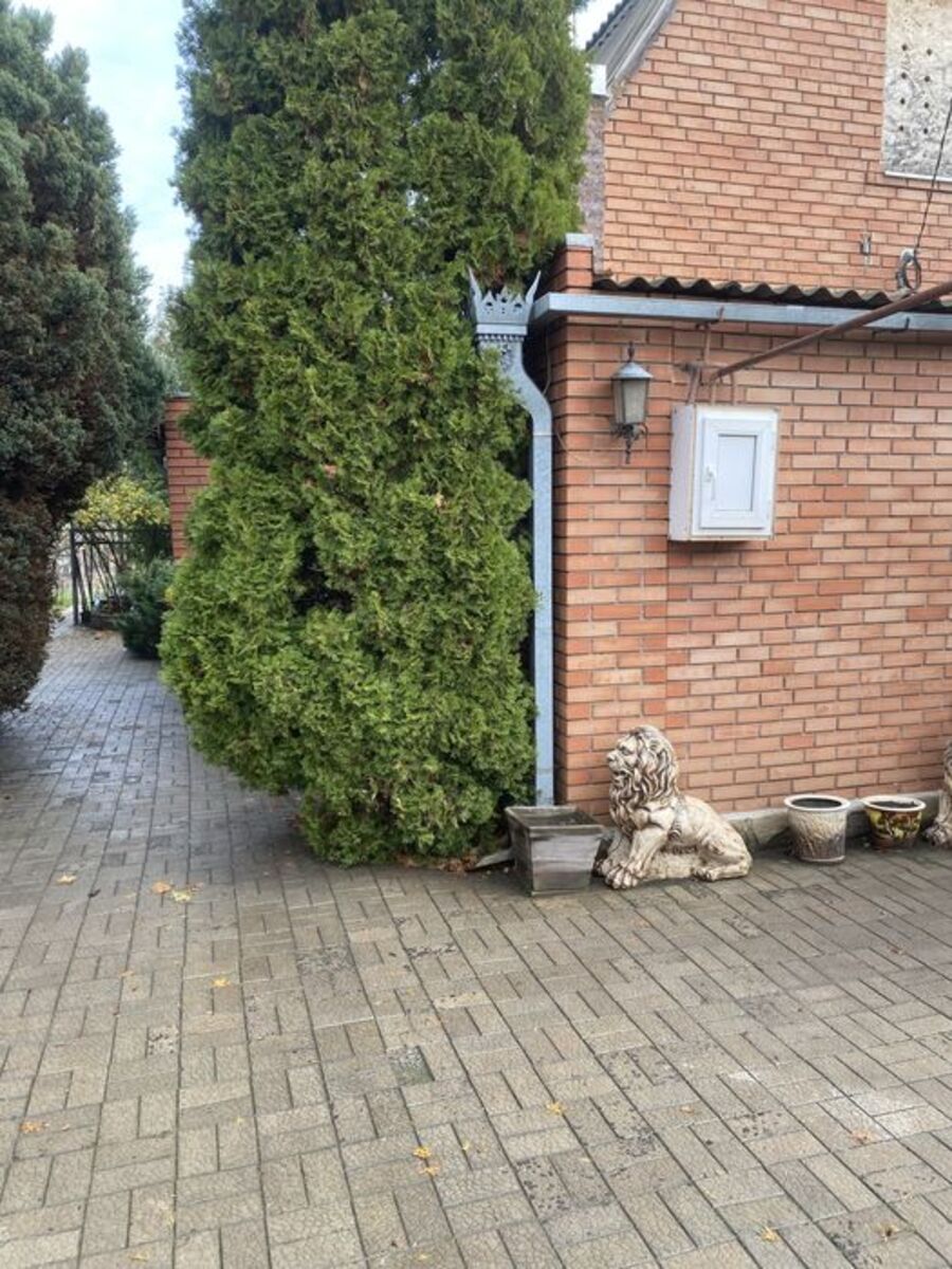 ���� ��� �������� �-� ����� ���� 1