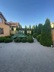      350 .    15  ,  . , .  2