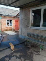 ������ ���� ����� ������. ���� 3