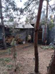 Здається будинок Донецька, Слов'янський, Словянськ, Целіний фото 13 Здається будинок Донецька, Слов'янський, Словянськ, Целіний фото 13