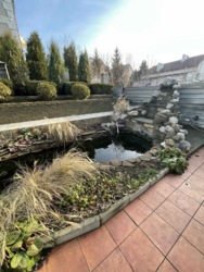 ������ ������������� 3 - �������� ���� � ��� .������ ( ���.������) ���� 9