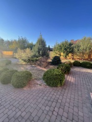      350 .    15  ,  . , .  6